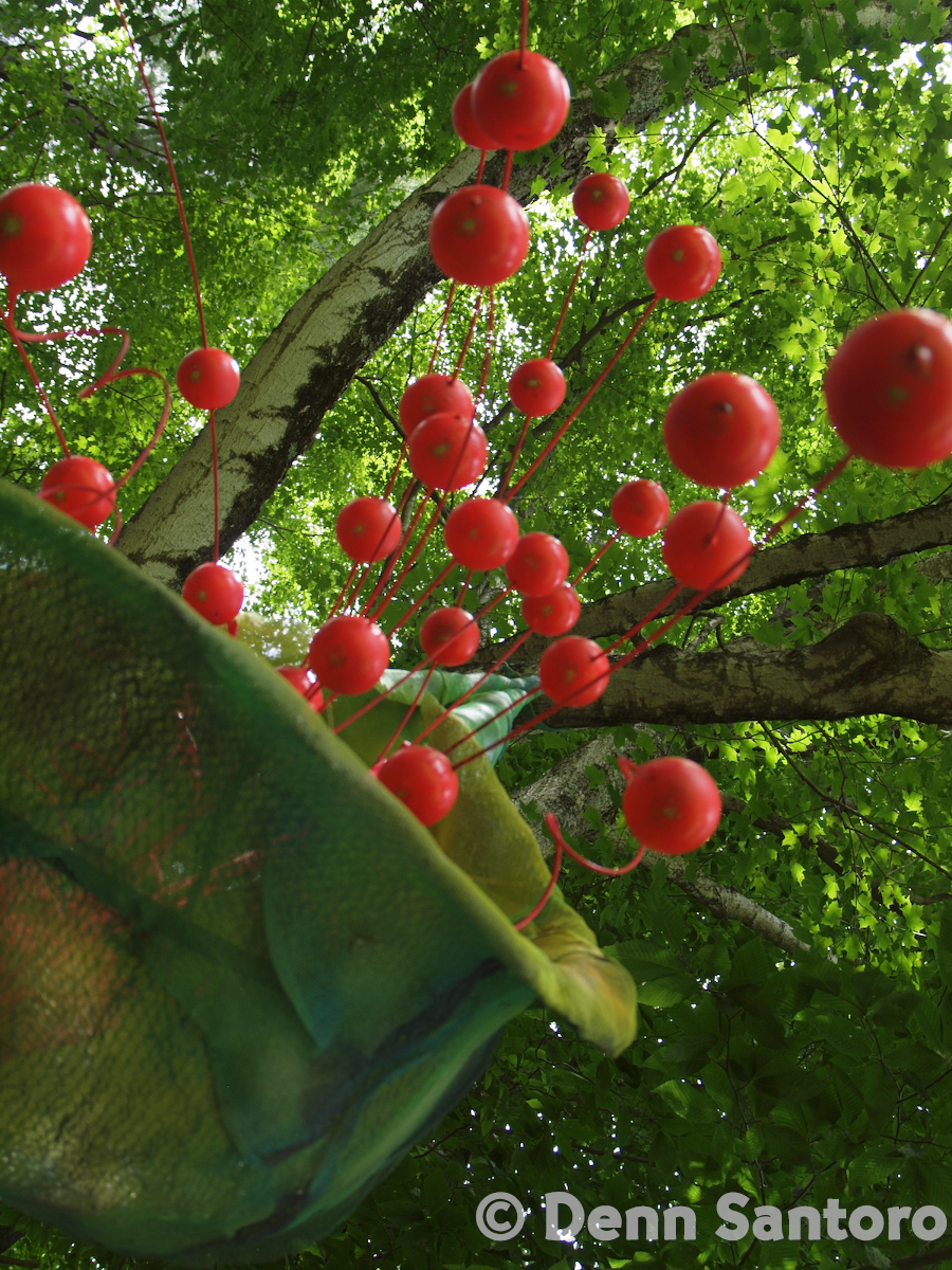 Fruit of the Tree?: Pieces Parts Series